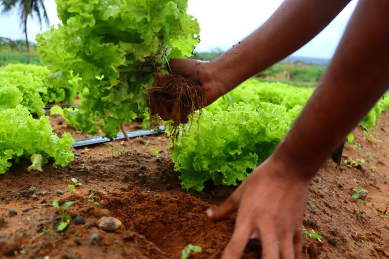Tucano registra crescimento do PIB per capita e consolida avanço no desenvolvimento econômico